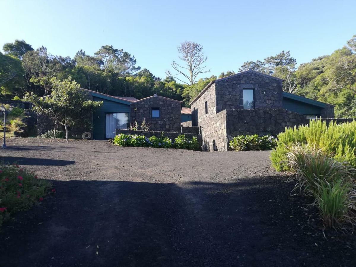 O Farrobo Casa de Férias Madalena (Azores)